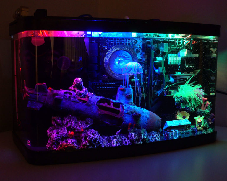 Aquarium Computer Eleccelerator